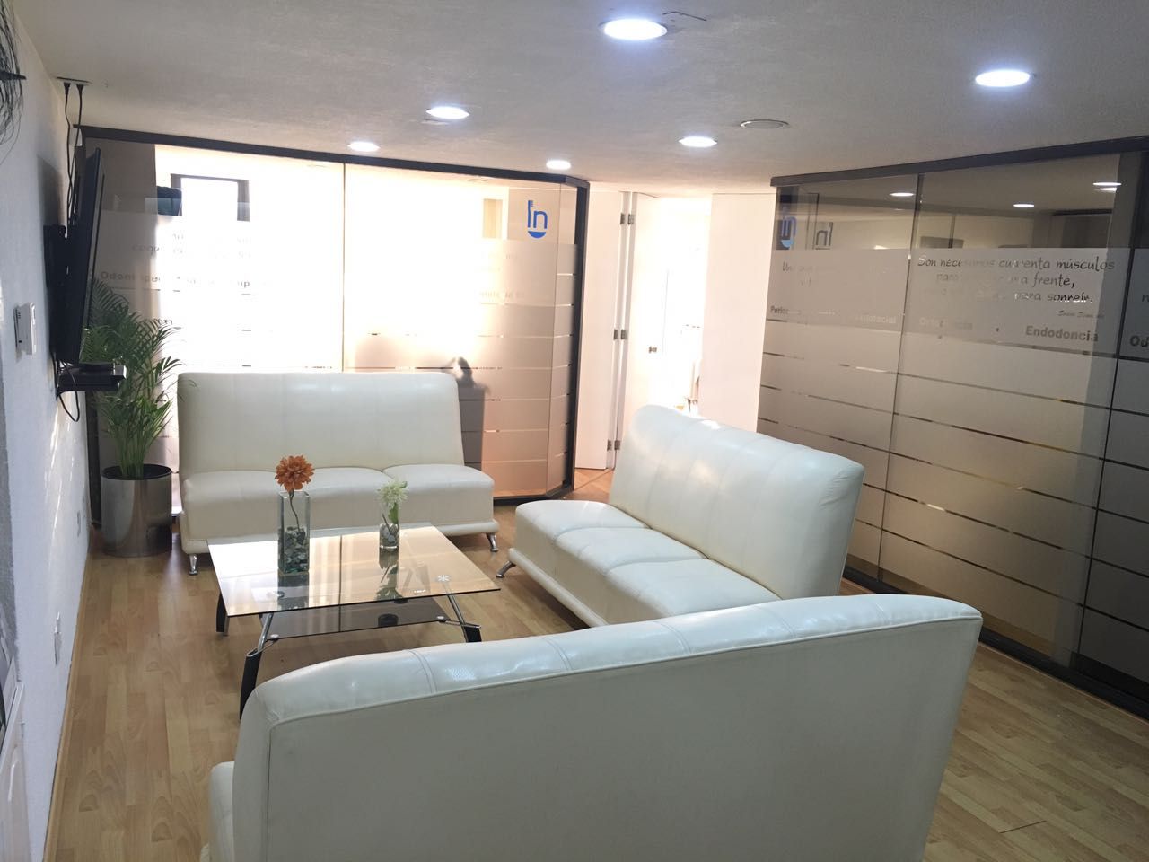 Reneé Jiménez Castellanos-6