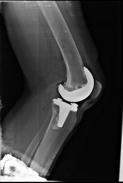 Francisco Javier Gómez Torres-7