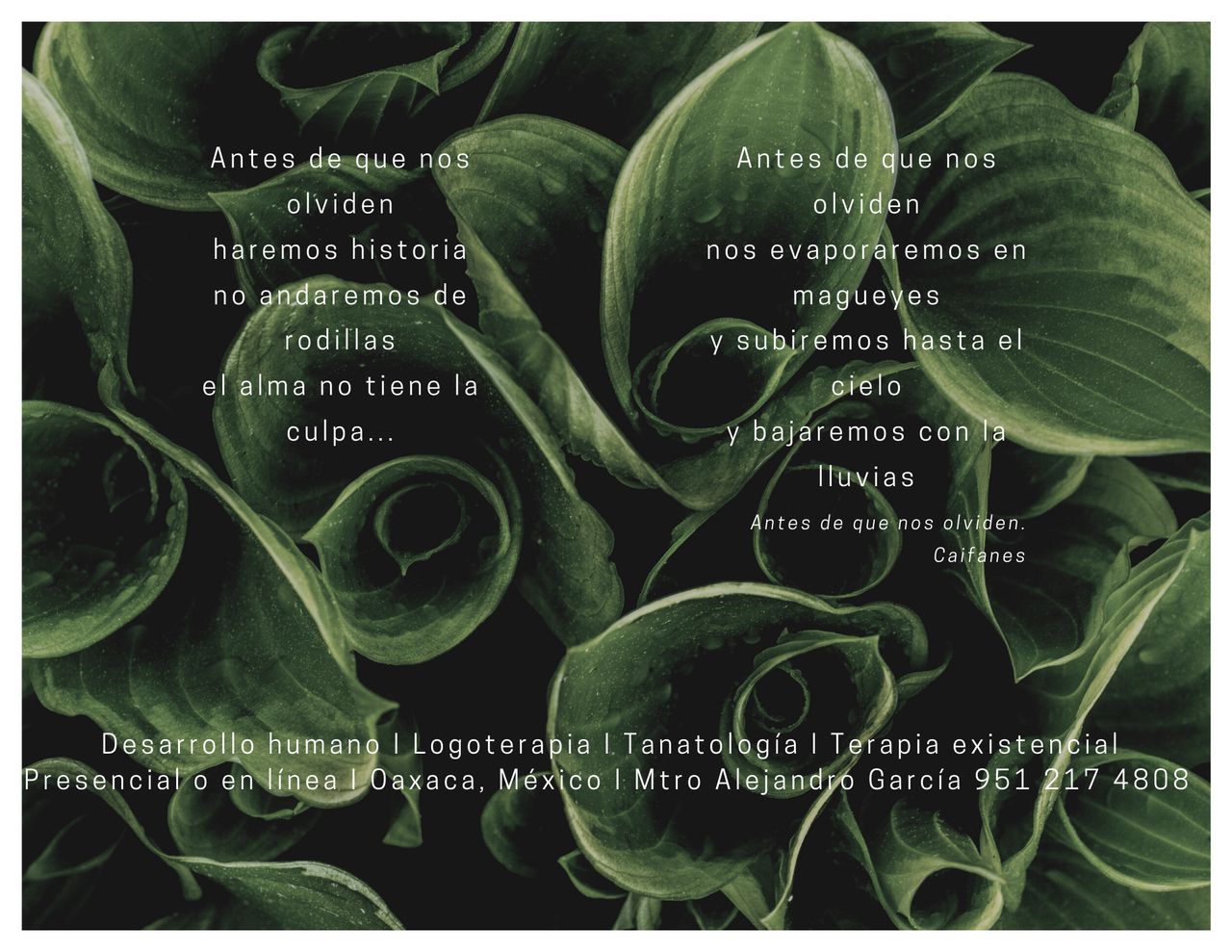 Alejandro Guillermo García García-80