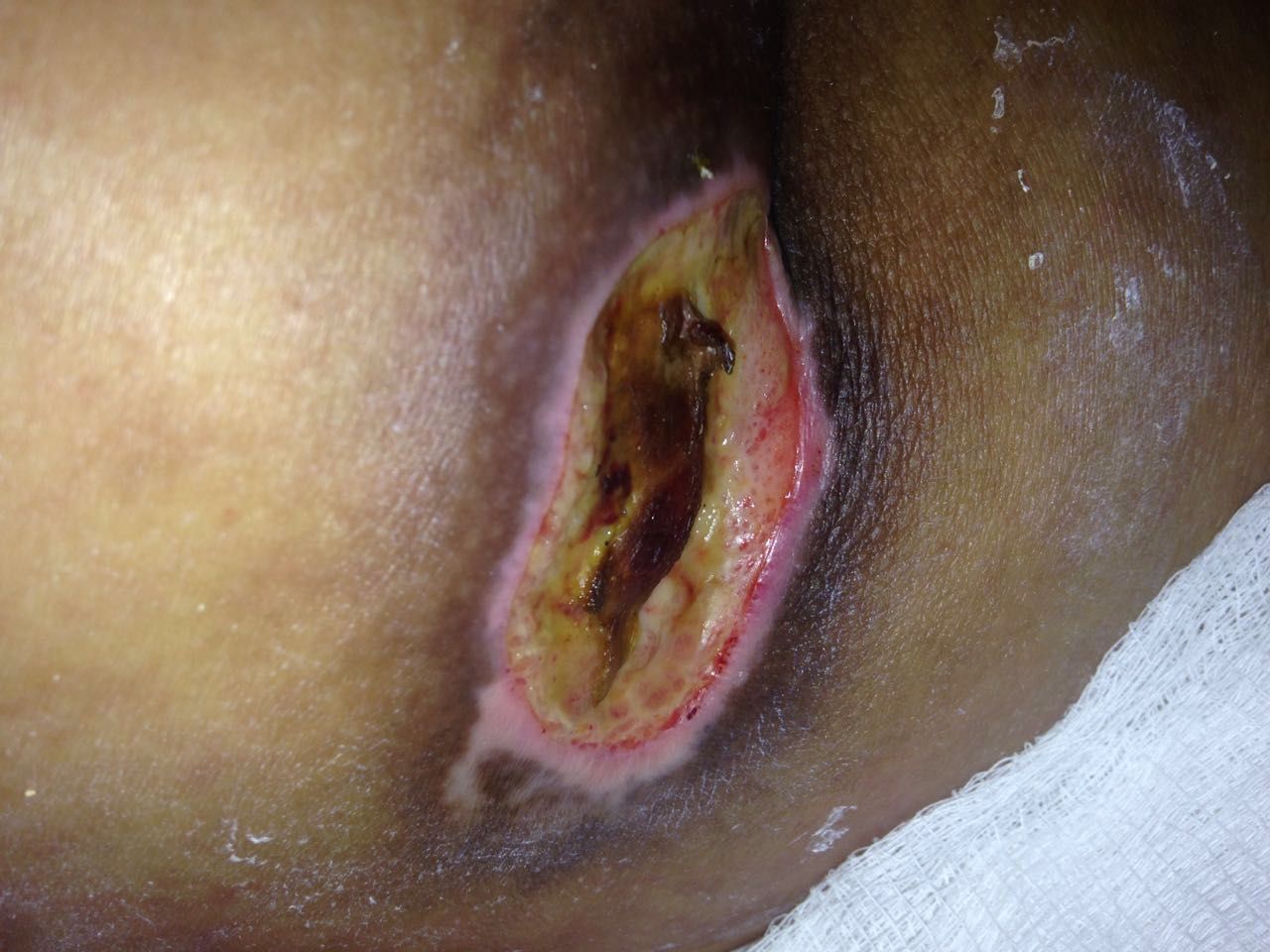 Yolanda Maldonado Miranda-15