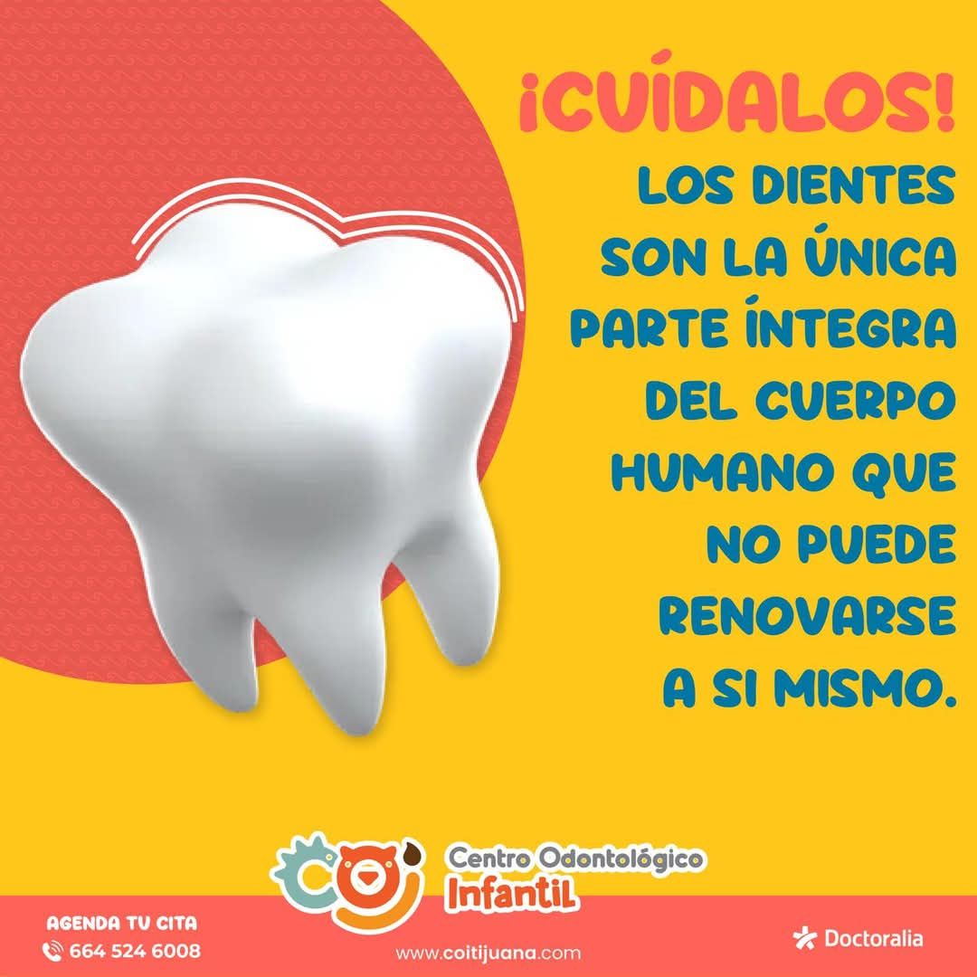 Christian Lizalde Swain-2