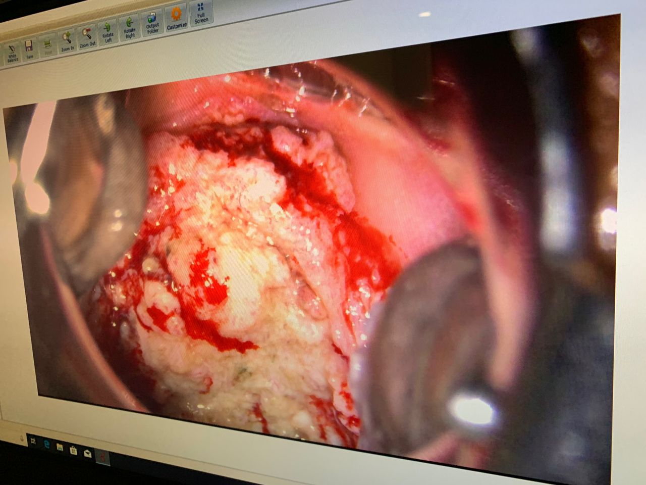 Auria Viridiana Avendaño Perez-5