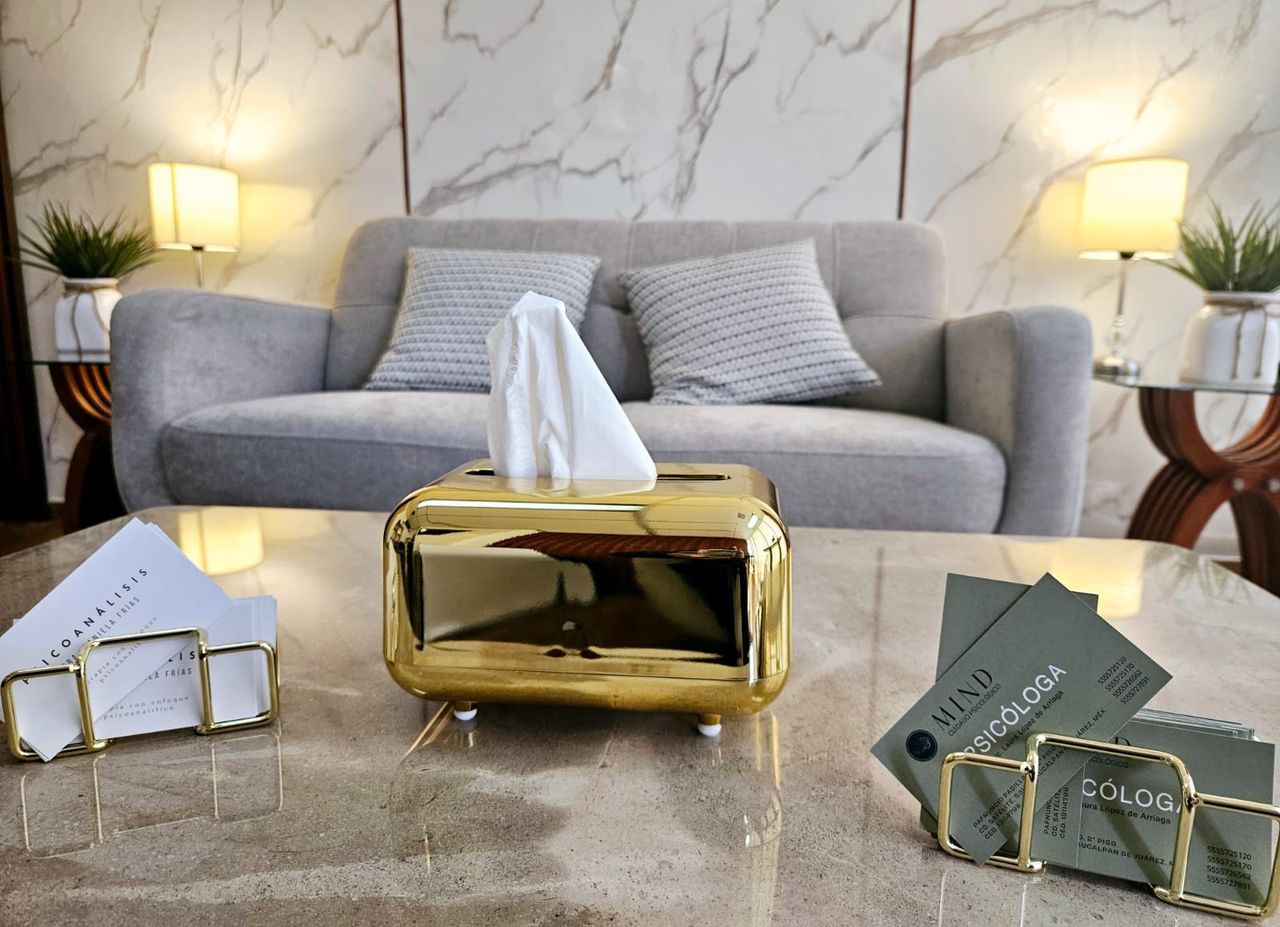 Laura López De Arriaga Candiani-16