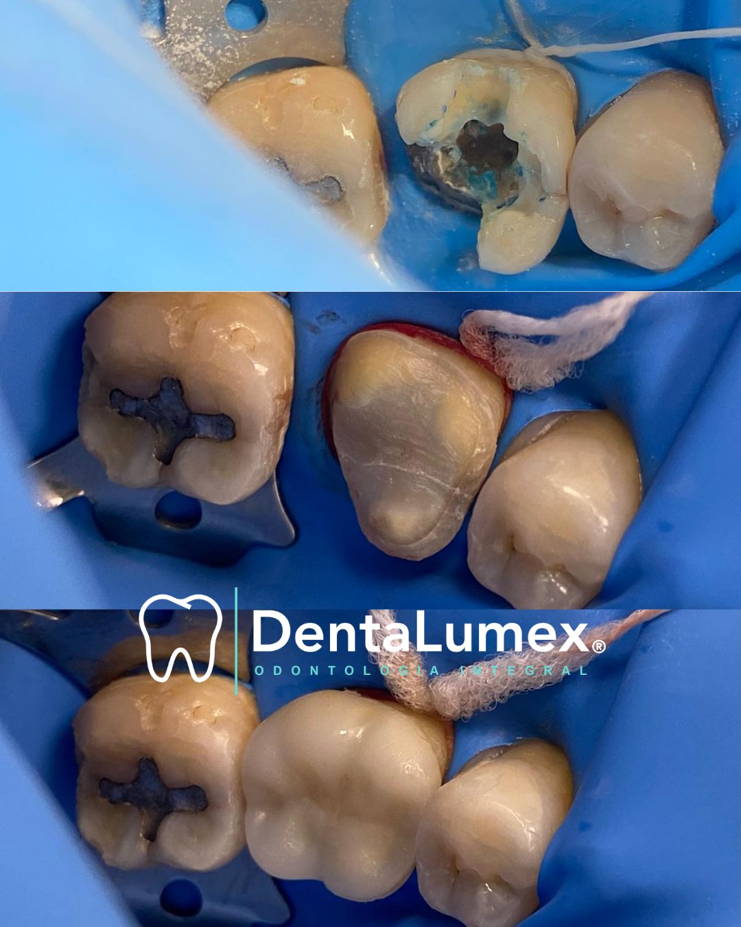 Betty Michelle Maya Rojas-0