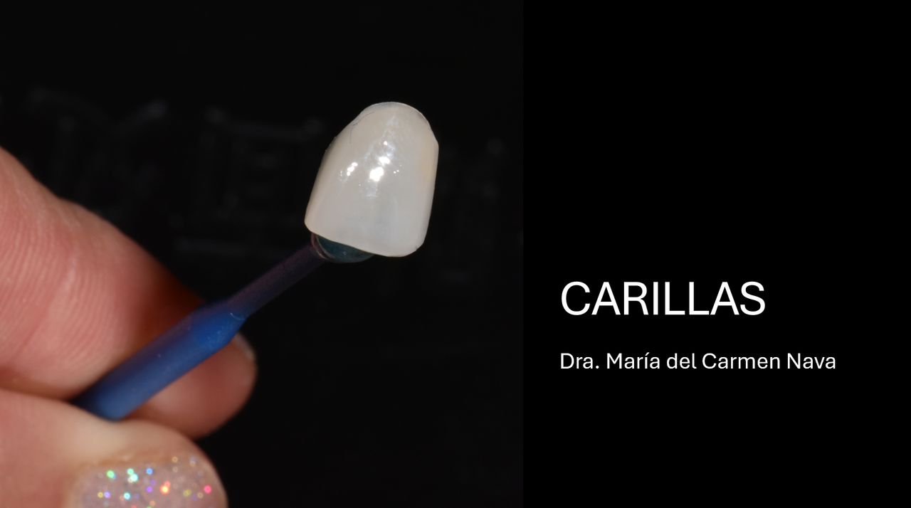 María Del Carmen Nava Jiménez-26