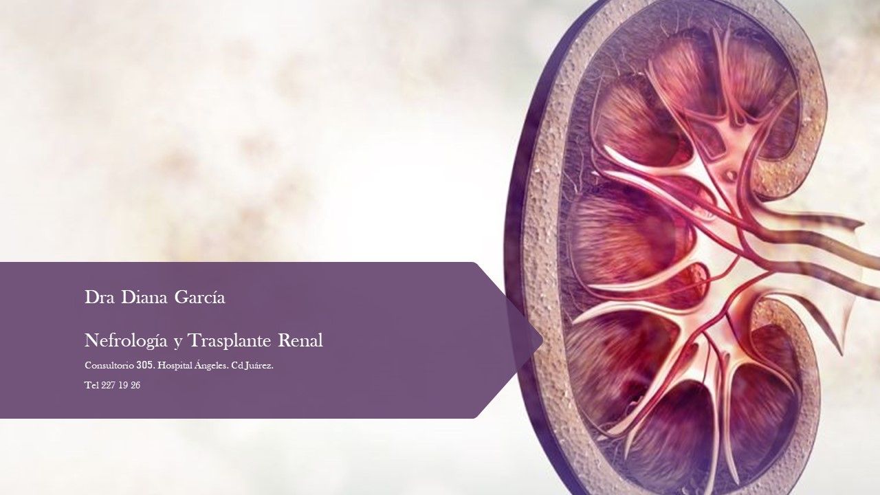 Diana García Velásquez-10