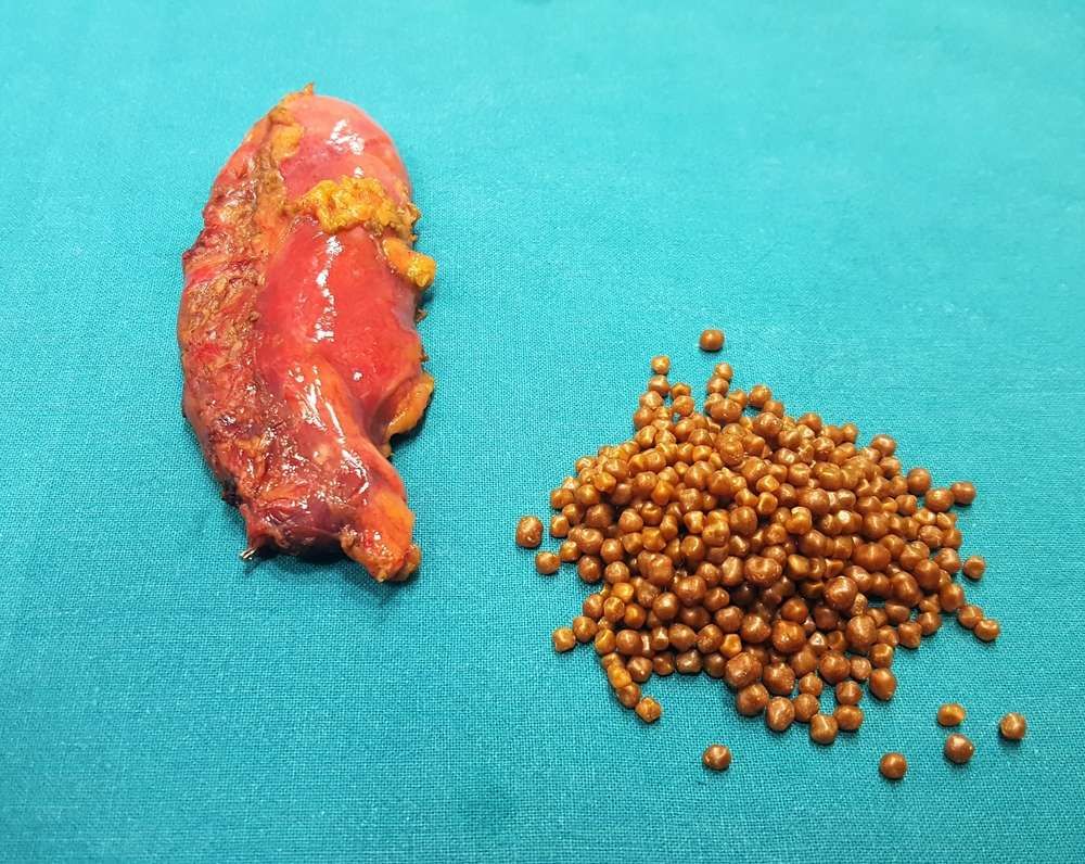 José Luis Kantún Jiménez-4