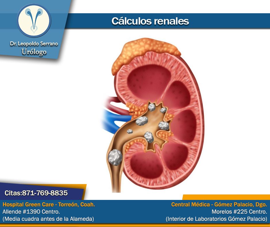 Erik Leopoldo Serrano Ortega-9