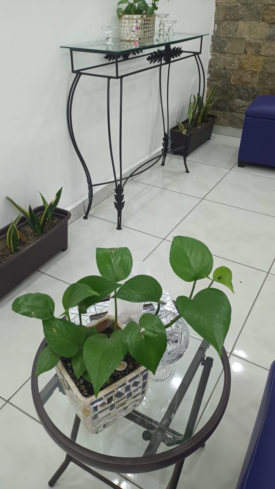 Jaime Acosta Martínez-5