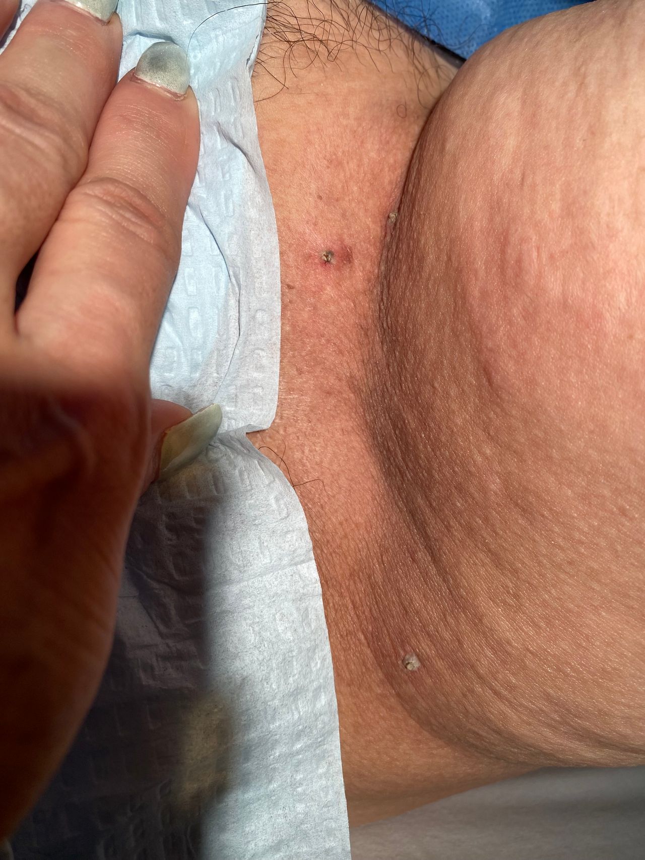 Lilia Gutierrez Franco-4