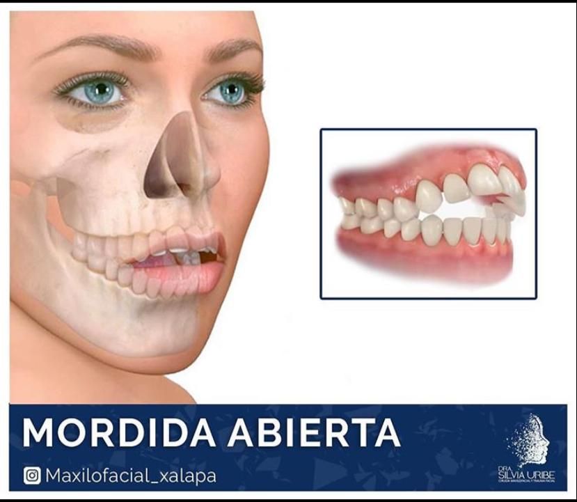 Silvia Uribe Márquez-6