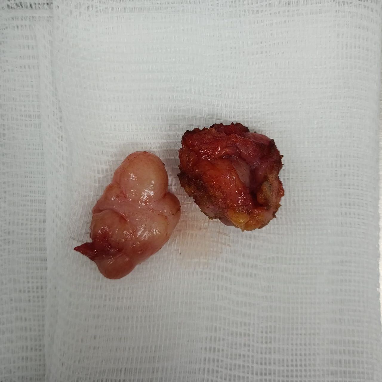 Edgar Flores Saucedo-4