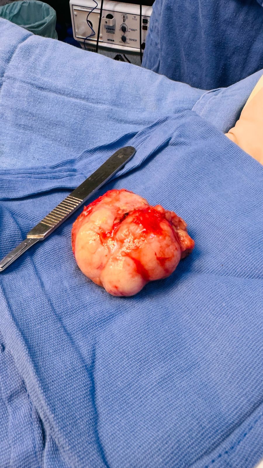 Sahrazade Rubí Guillermo-2