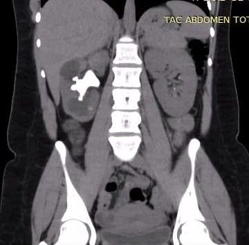 Rodrigo Guevara Gómez-10