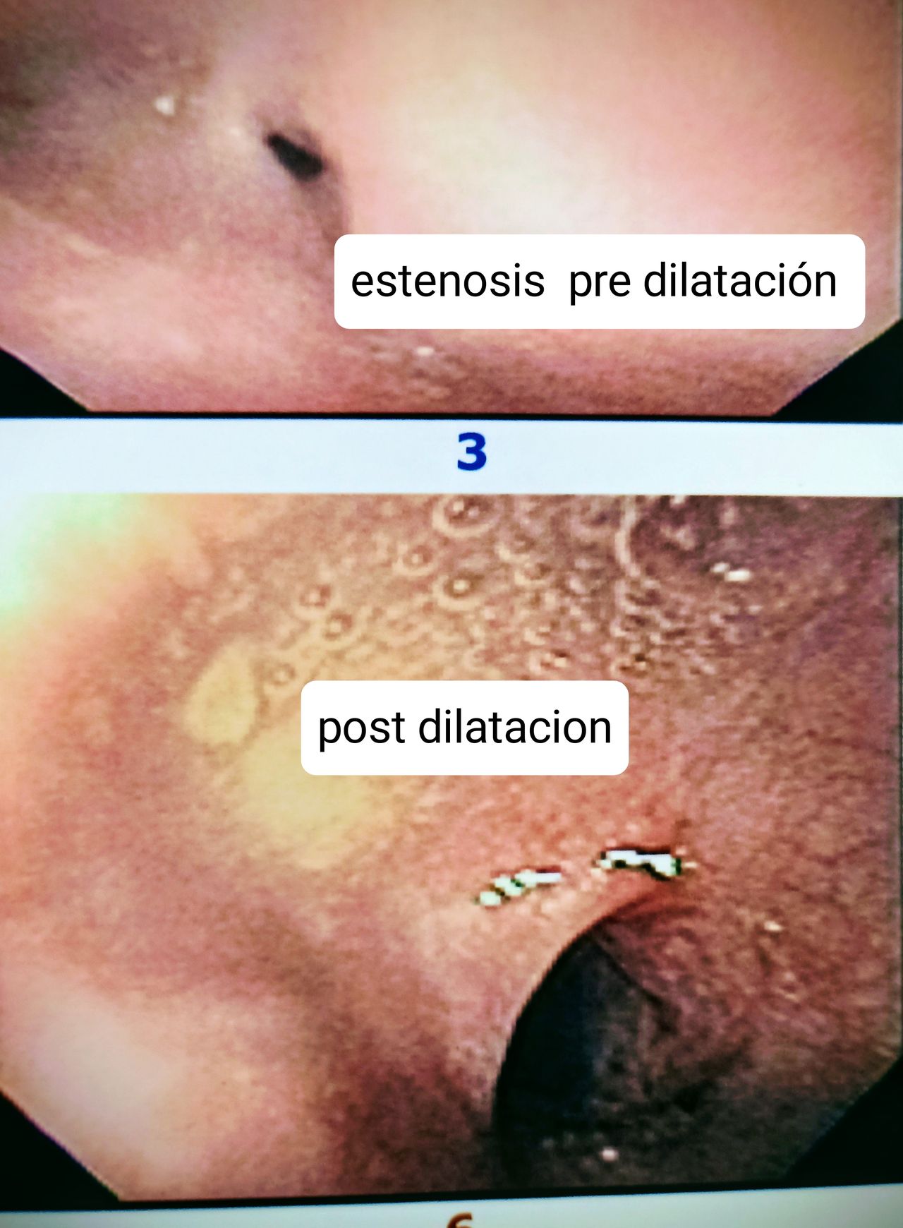 Luis Octavio Flores Romo-13