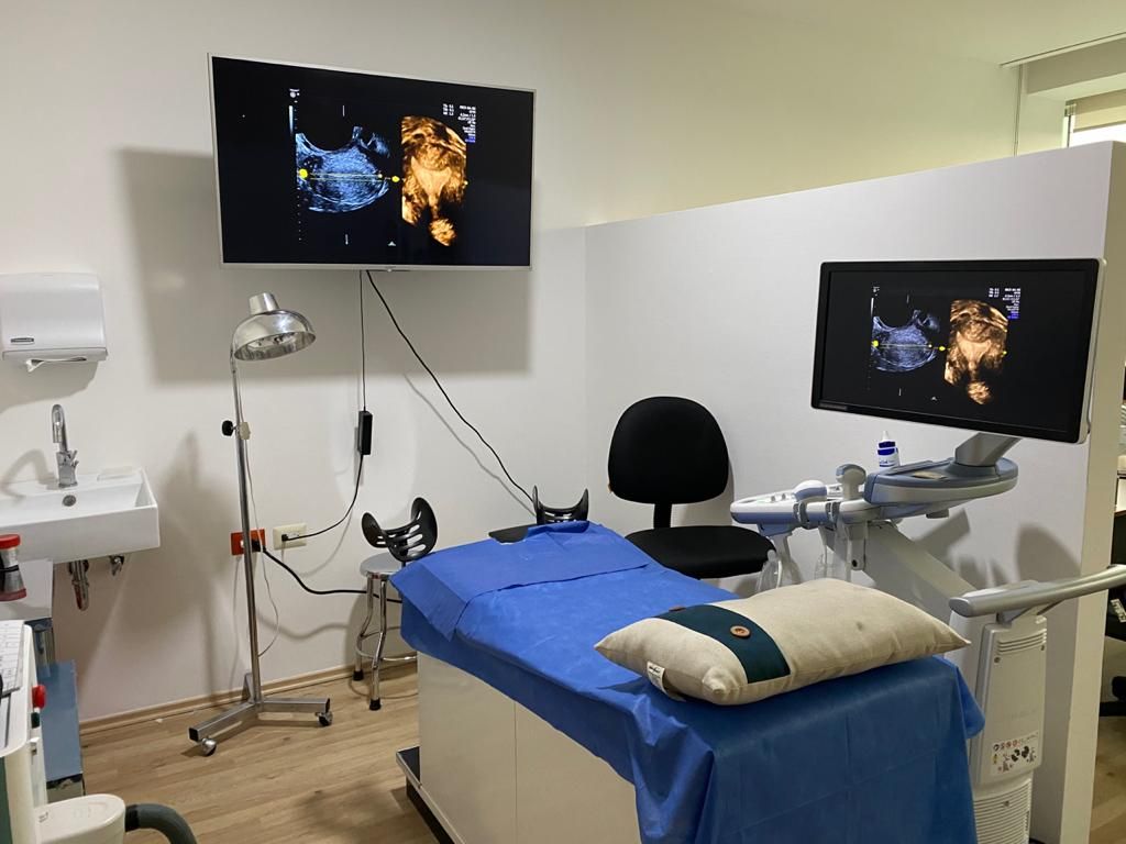 Germán Gabriel Palacios López-11