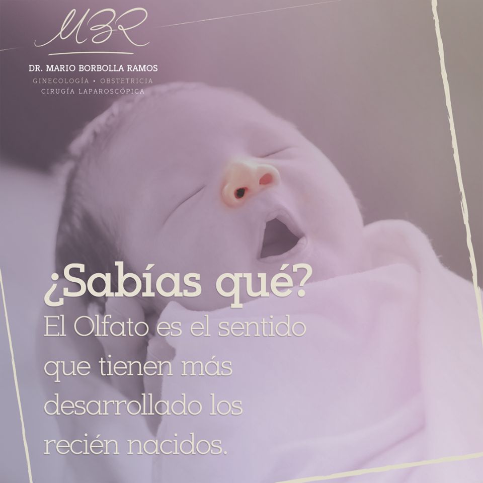 Mario Borbolla Ramos-11