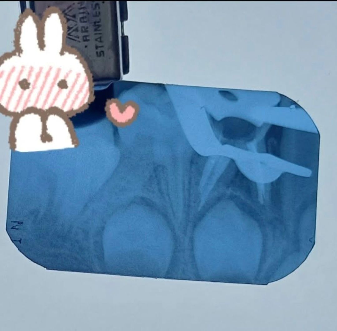 Leslie Michelle Galan Bahena-10