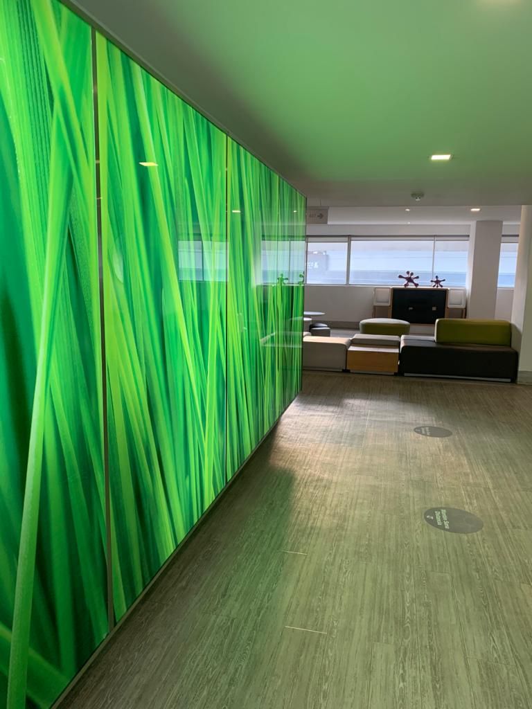 Federico Francisco Gerzso Núñez-7