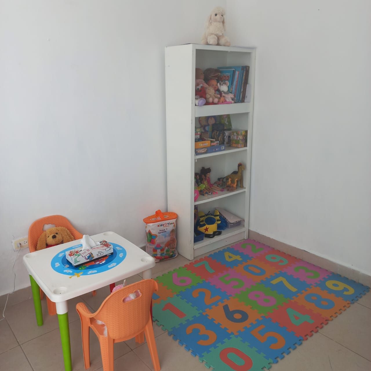 María Fernanda Enríquez Ramírez-10