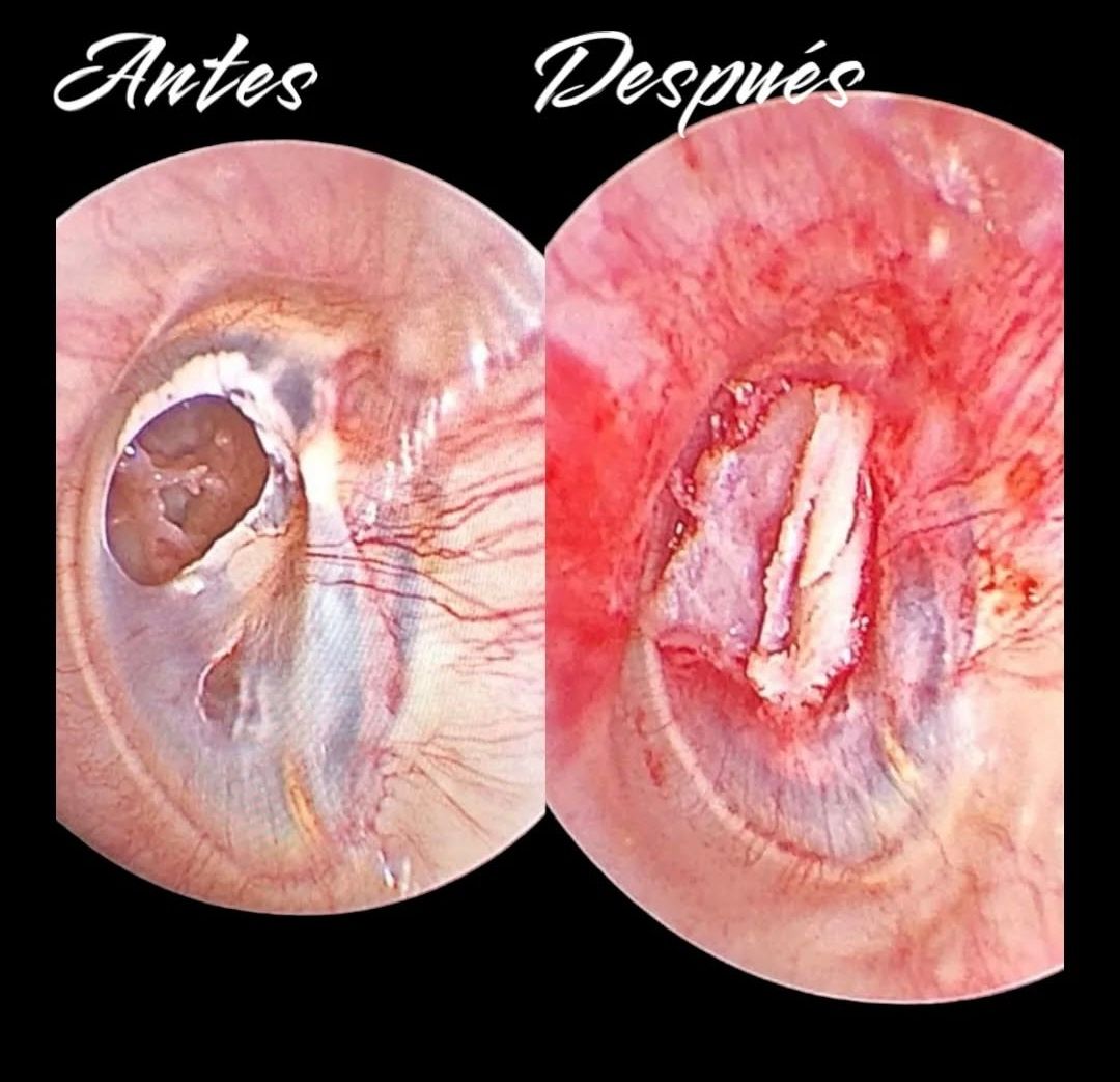 Raquel Elizabeth Soto Rodriguez-4