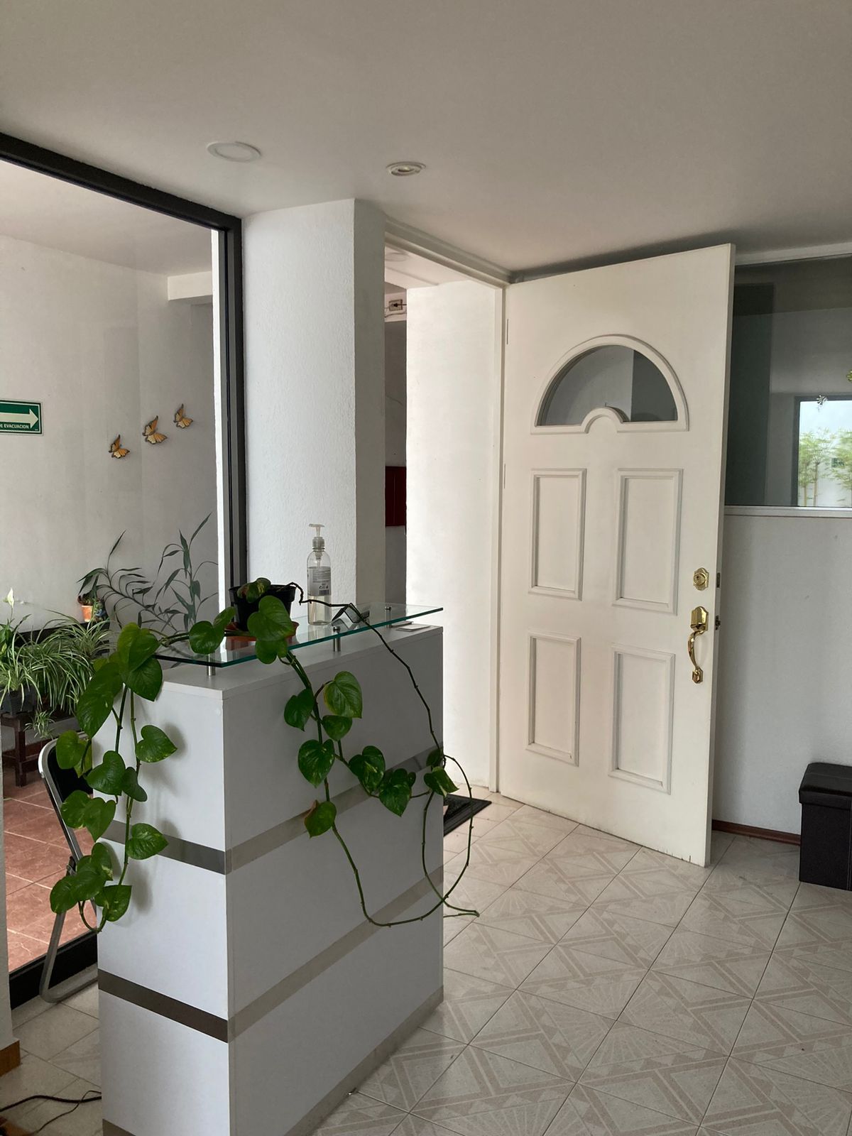 Veronica Mafud Pérez-8