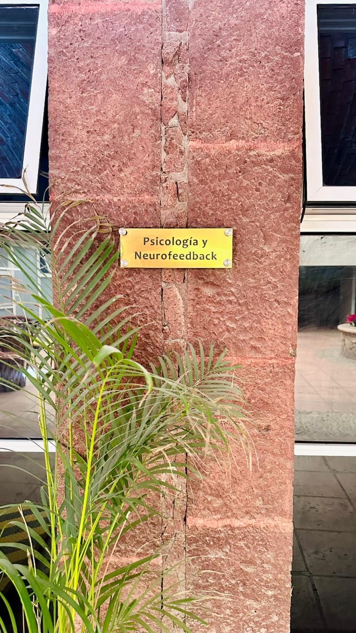 Wendy Rocío Vázquez Infante-2