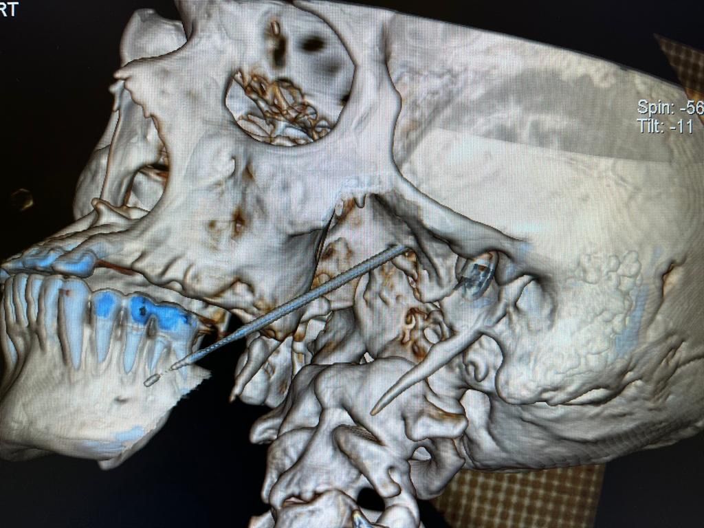 Francisco Javier Anthon Mendez-0