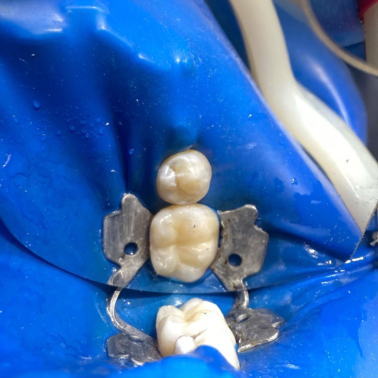 Sergio David Duarte García-7