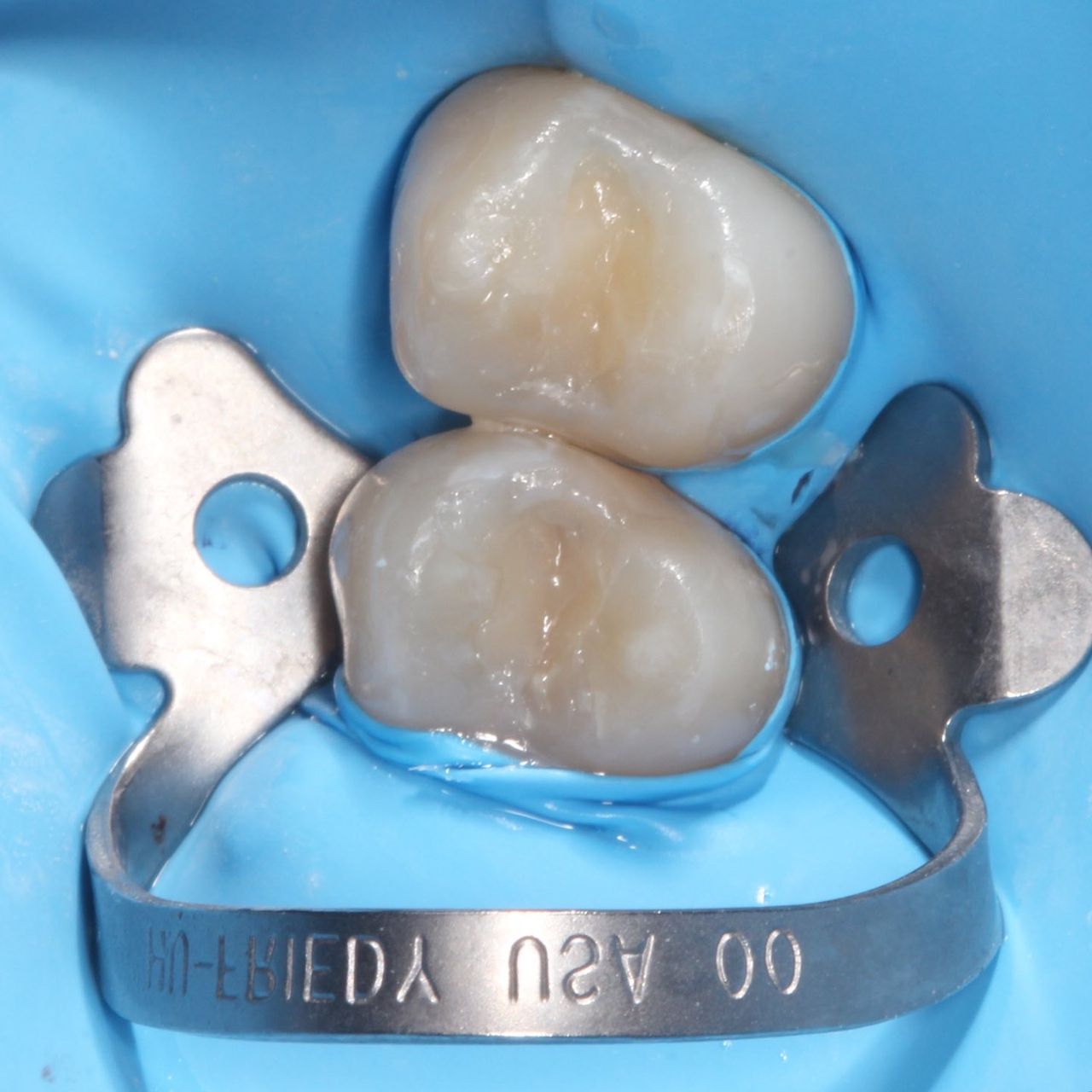 María Guadalupe García Figueroa-0