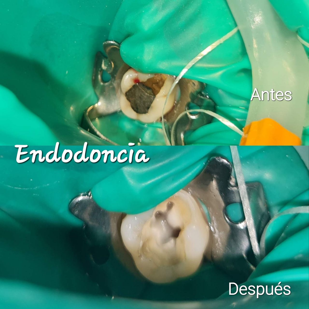 Aimée Quiroz Mendoza-62