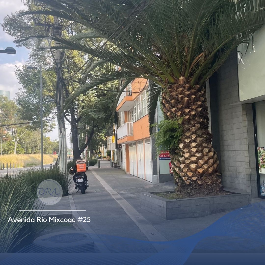 Amanda De La Piedra-3