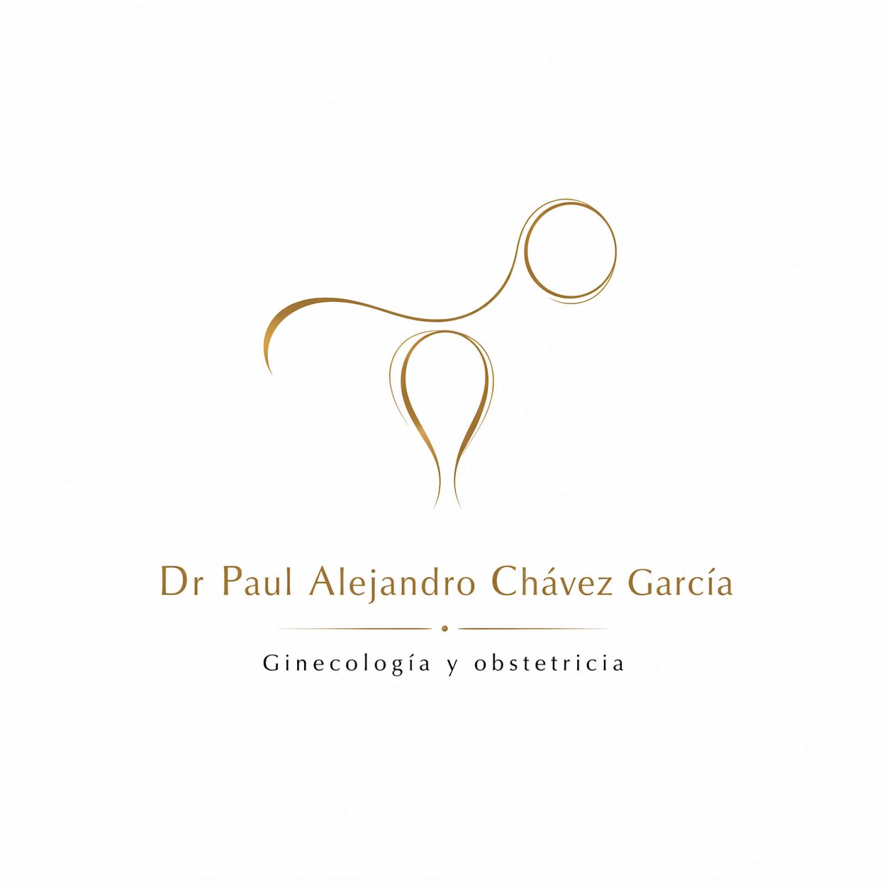 Paul Alejandro Chavez Garcia-9