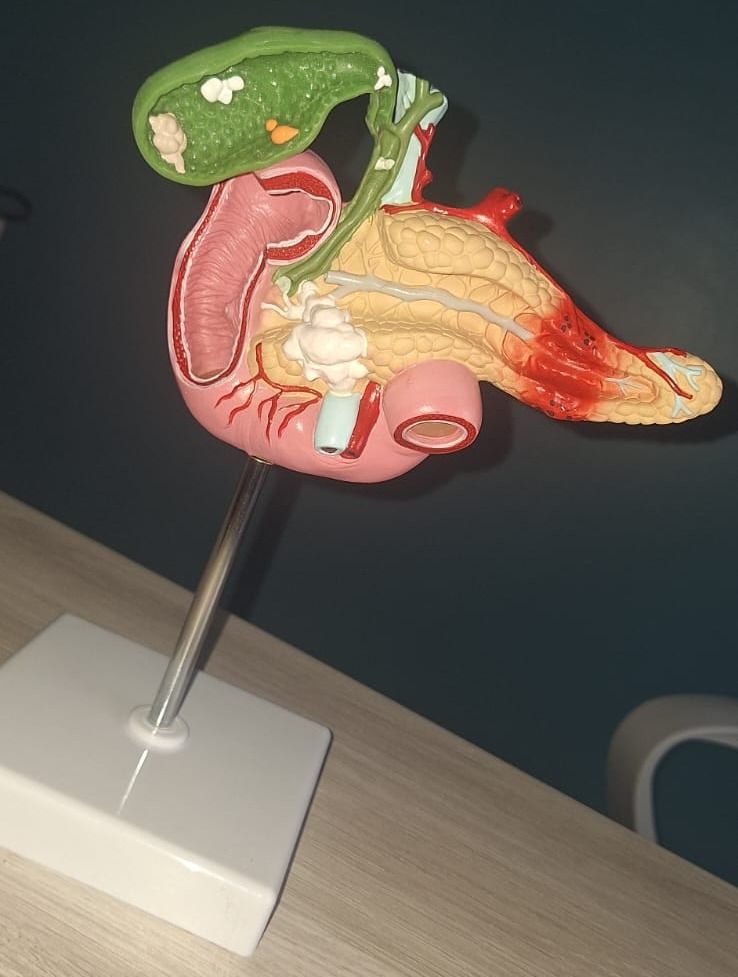 Fernando Aarón Elizarrarás Escoto-5