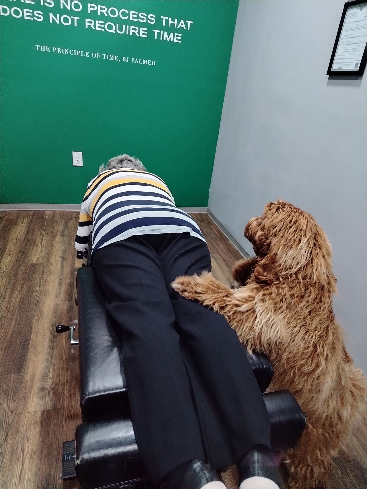 Andrea Valadez Reyes-8