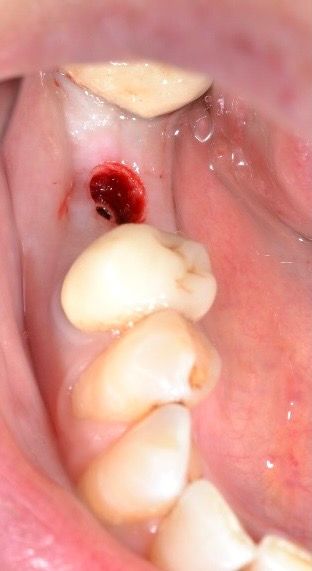 Francisco Jose Vives Serrano-14