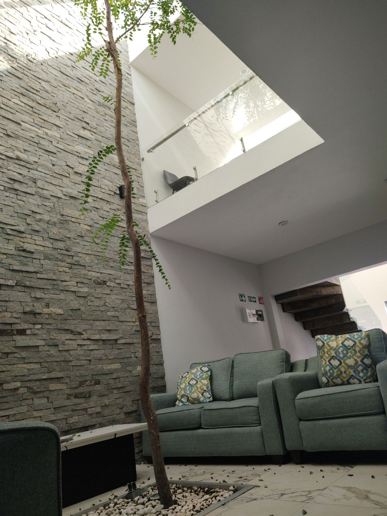 Carolina Espinosa Pérez-3