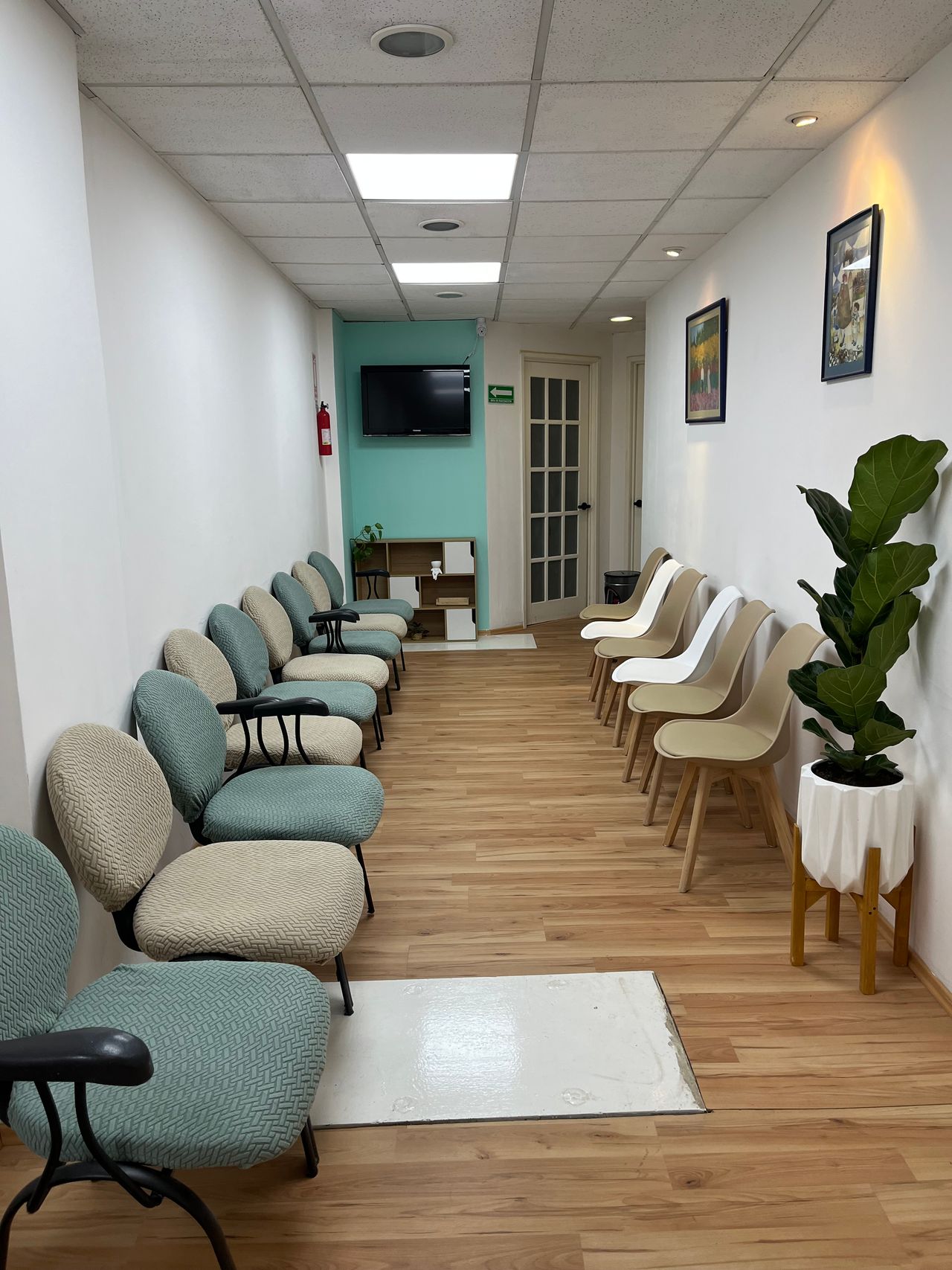 Ana Carolina Cruz Miranda-8