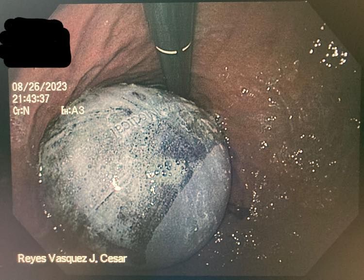 J. César Reyes Vásquez-22