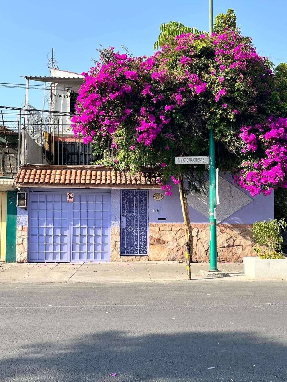 Jessica Montiel Alvarez-6