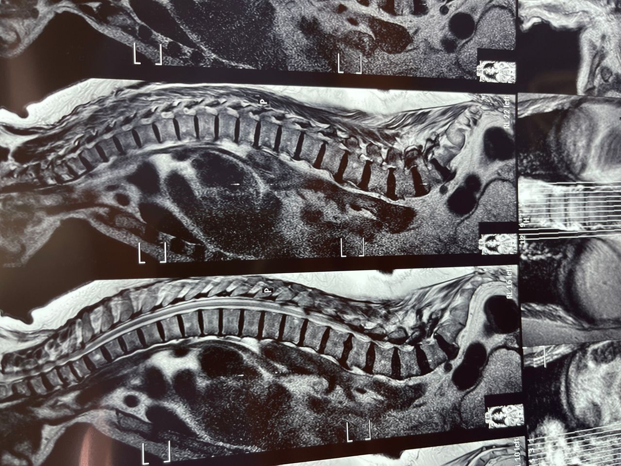 Gustavo E Ramirez Reyna-7