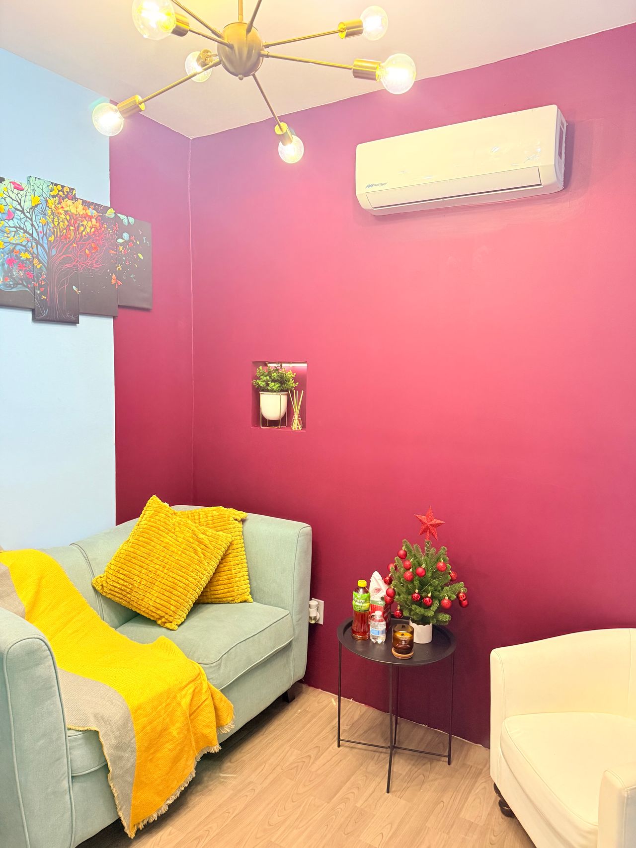 Antonio Junior Ibarra Salas-6