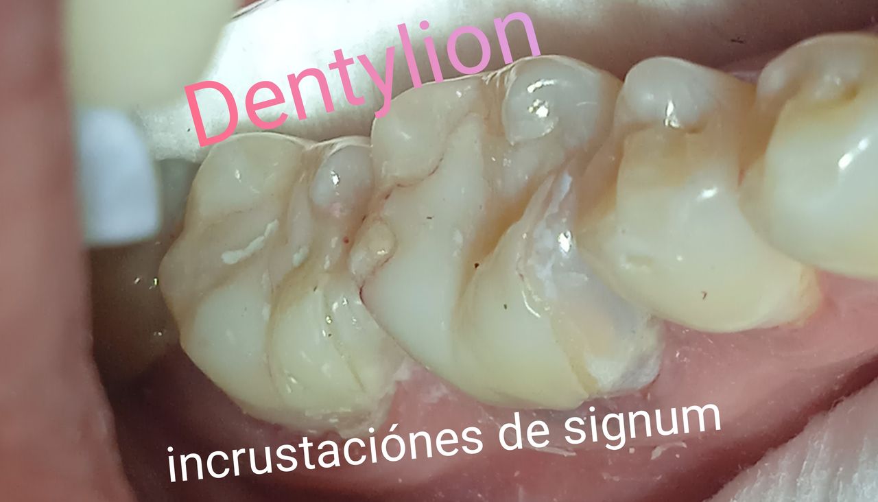 Jessica De La Barrera Valladolid-23