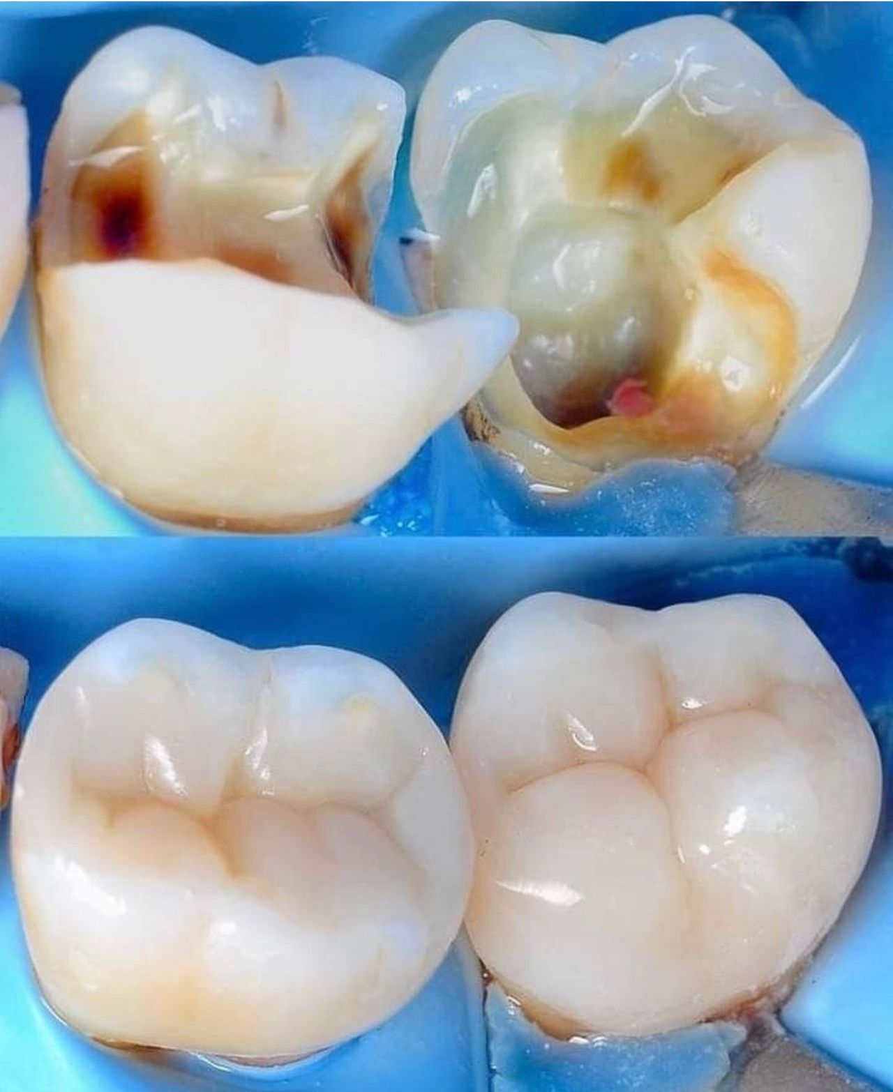 Gloria Haydee Castillo Castellanos-16