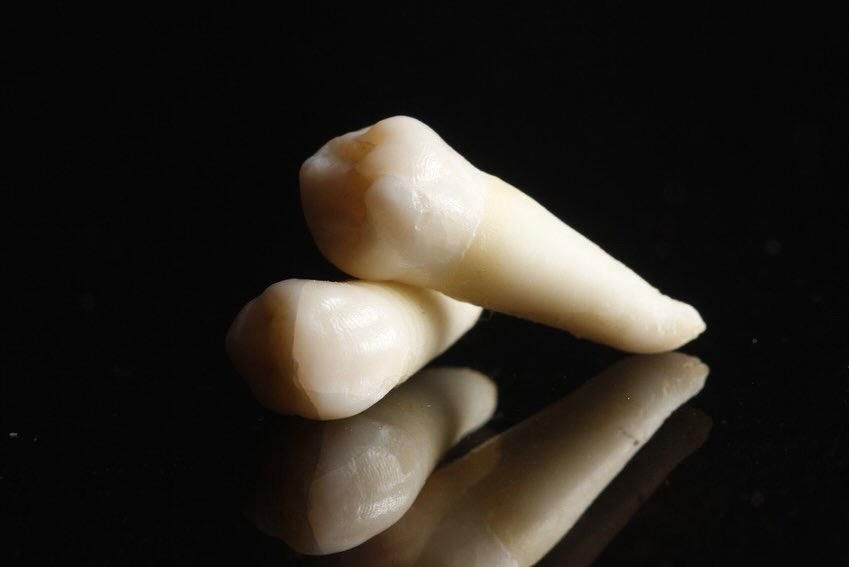 Eduardo Manuel Hernández Raymundo-5