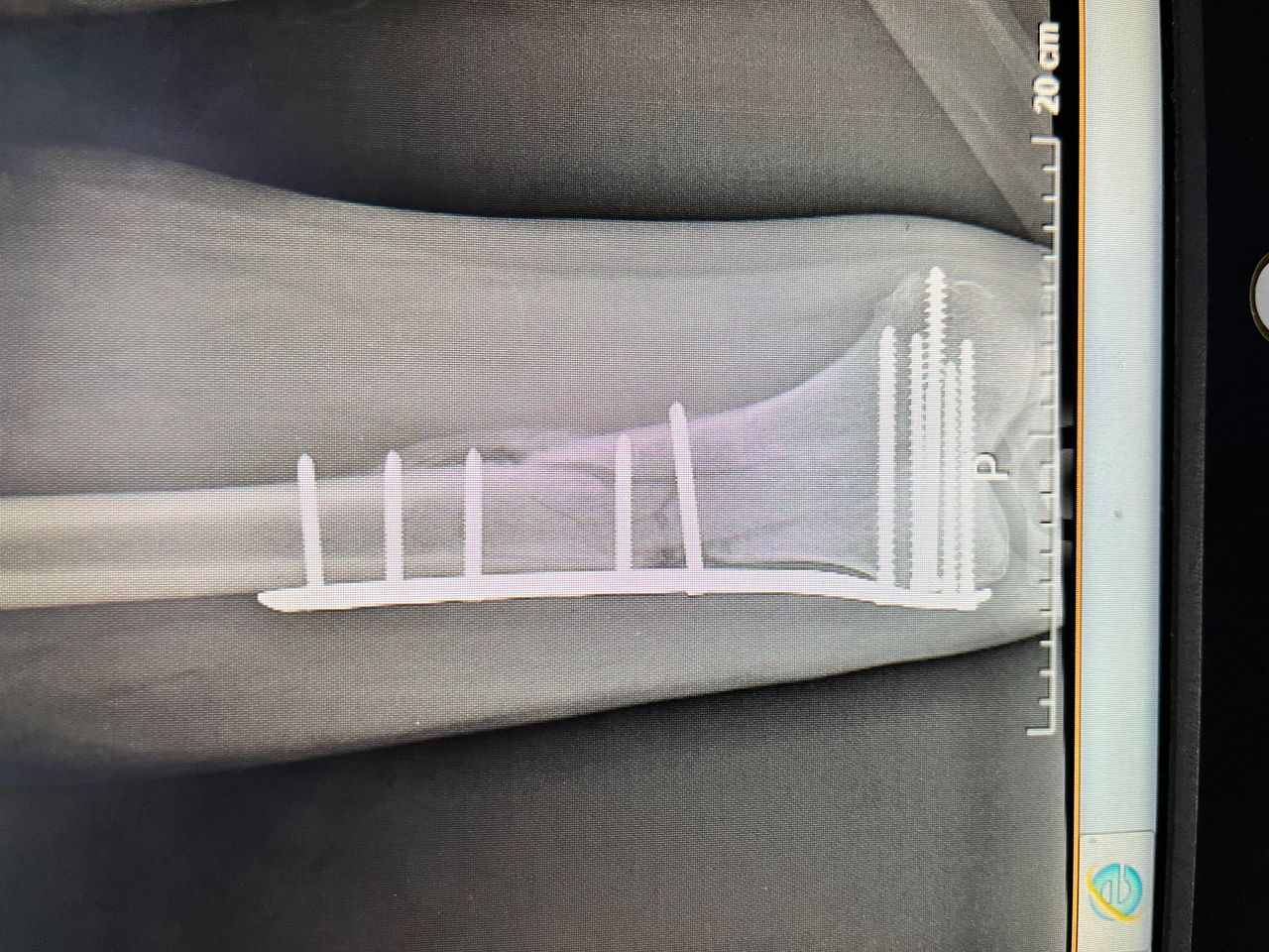 Jesus Armando Silvestre Guzman-6