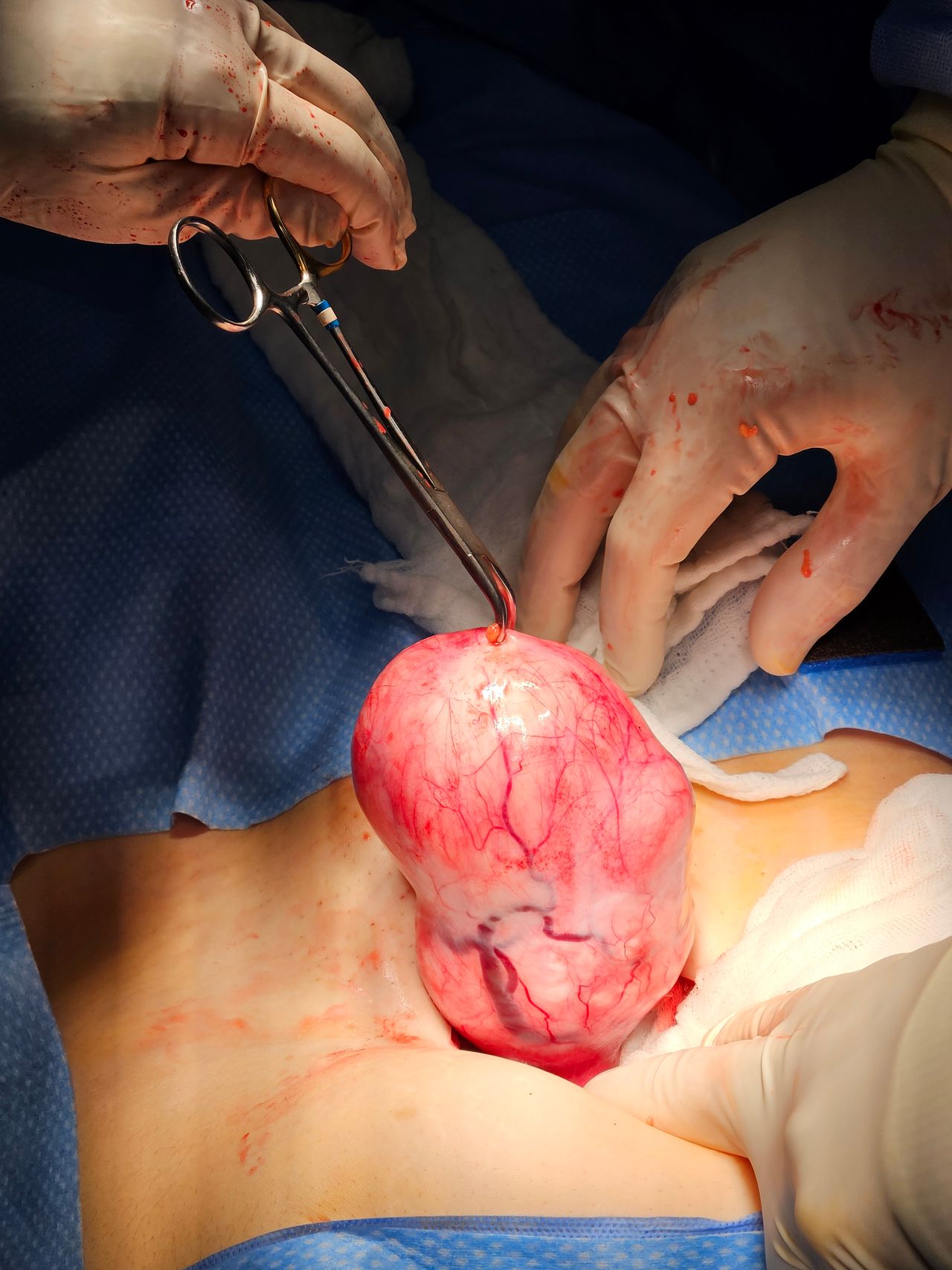 Jorge Alberto Rodriguez Pezino-23