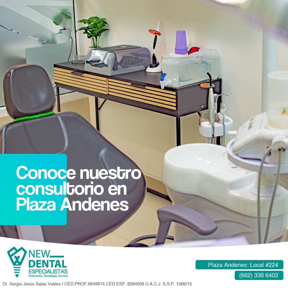 Alejandra Verdugo Oyama-3