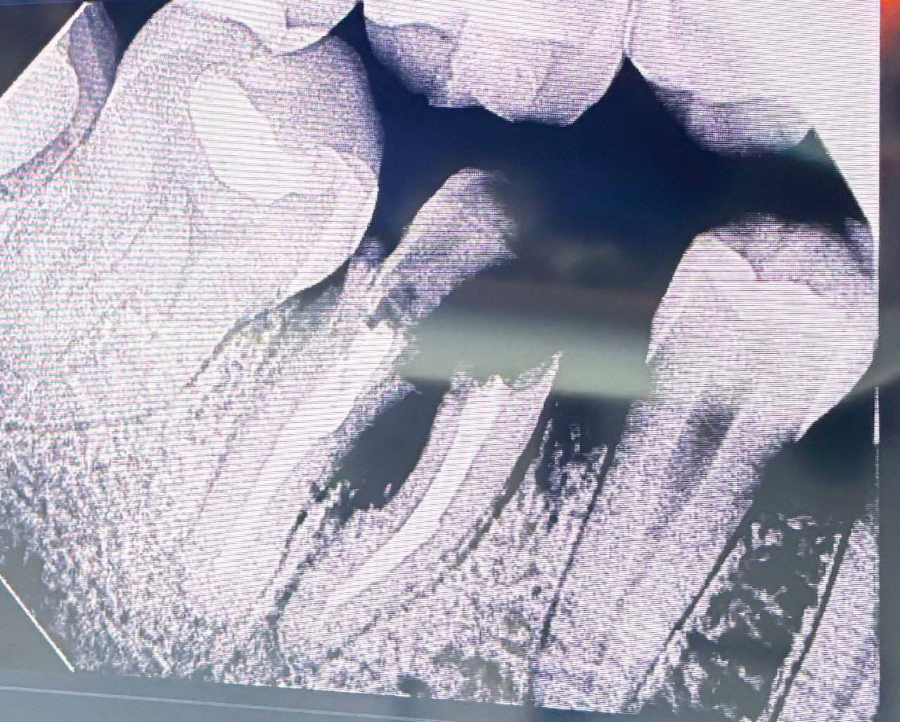 Alicia Araceli Navarro Burguete-17