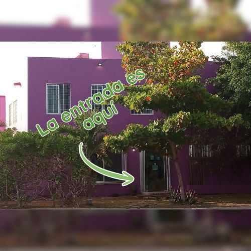 Misael Ramos Aguirre-4